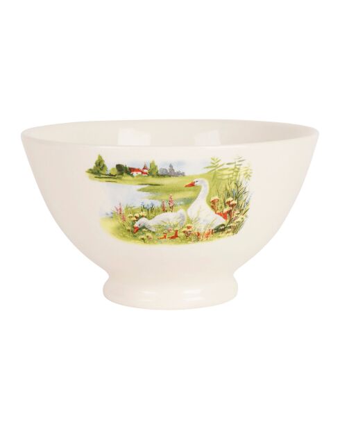 Ciotola multicolore da collezione per oche - 75cl