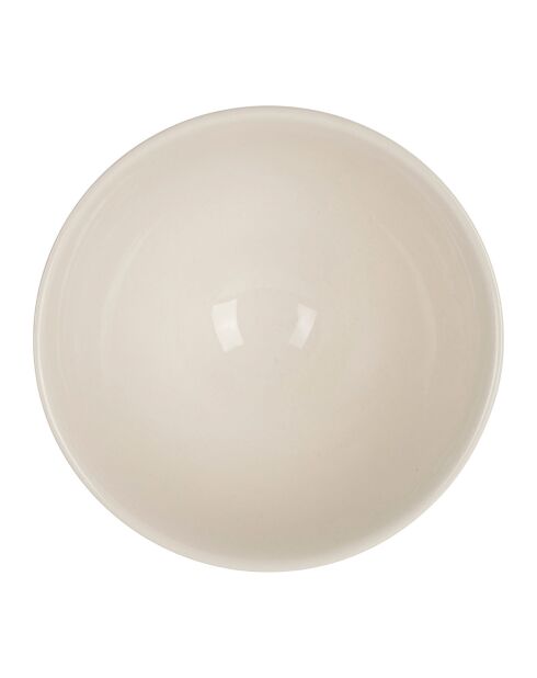 Bol Orange le collectionneur  orange/vert  - 75cl