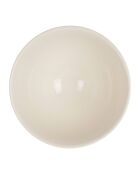 Bol Potager le collectionneur  multicolore  - 75cl