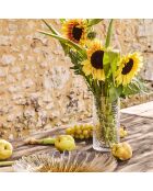 Plato hondo ámbar Anthemis - 40x8 cm