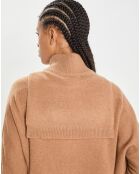 Plastron 100% Cachemire col montant en côtes Carla mocha