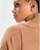 Plastron 100% Cachemire col montant en côtes Carla mocha