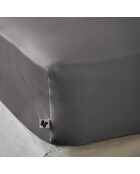 Drap housse Bambou Salomé anthracite