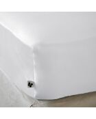 Drap housse Bambou Salomé blanc