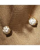 Boucles d'oreilles Puces or jaune