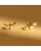 Boucles d'oreilles Andromède or jaune