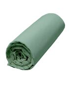 Drap housse 100% Percale de Coton Venezia bonnet 30 cm céladon