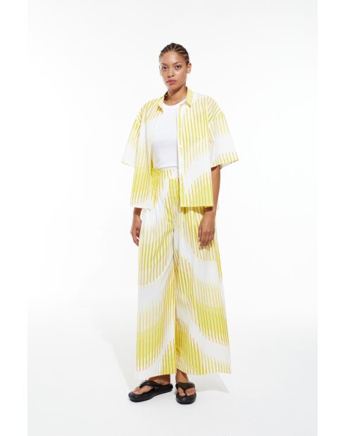 Chemise Andrew Lime