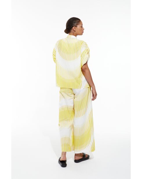 Chemise Andrew Lime