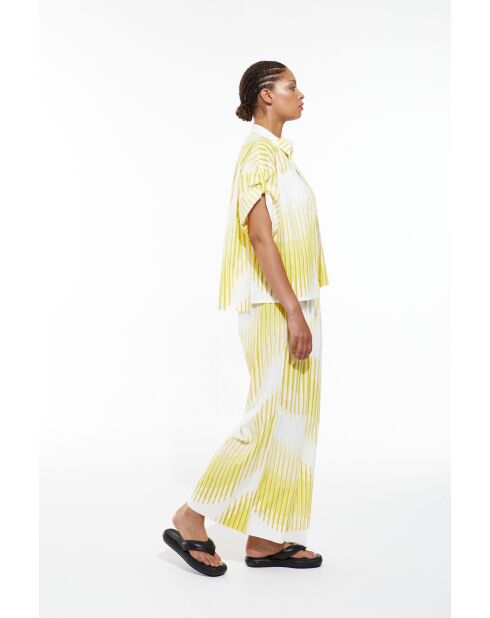 Chemise Andrew Lime