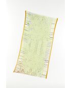Foulard Mue Kaki 100 X 190Cm