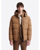 Blouson matelassé à capuche camel