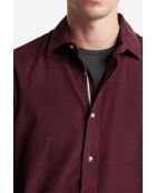 Chemise en velours 100% coton figue