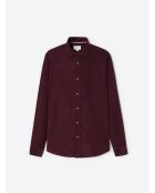 Chemise en velours 100% coton figue