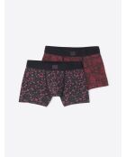 Coffret boxers en coton fantaisie merlot