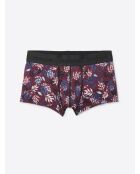 Shorty végétale figue