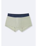 Shorty uni vert lichen