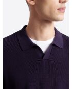 Pull col derby en coton aubergine