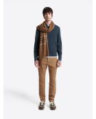 Pull col boutonné en Coton bleu