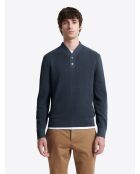 Pull col boutonné en Coton bleu