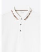 Polo manches longues col rayé en coton blanc neige