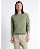 Pull col rond en 100% Coton bio vert amande