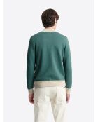 Gilet col teddy coton-cachemire bicolore vert mer