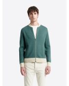 Gilet col teddy coton-cachemire bicolore vert mer