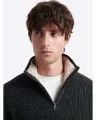 Pull à col cheminée en Laine d'agneau mélangée kaki cosy