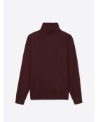 Pull col roulé en jacquard merlot
