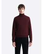 Pull col roulé en jacquard merlot