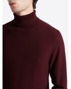 Pull col roulé en jacquard merlot