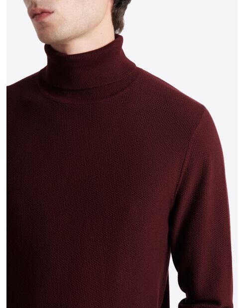 Pull col roulé en jacquard merlot