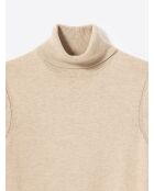 Pull à col roulé en Coton mélangé ivoire