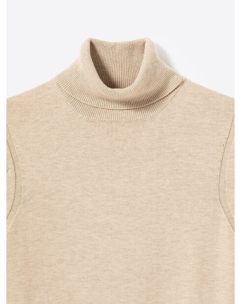 Pull à col roulé en Coton mélangé ivoire