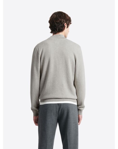 Pull col teddy boutonné en Coton gris chiné clair