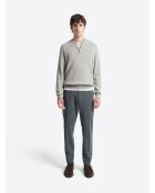 Pull col teddy boutonné en Coton gris chiné clair