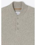 Pull col teddy boutonné en Coton gris chiné clair