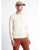 Pull col rond en 100% Coton bio beige