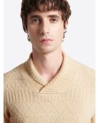 Pull col châle fantaisie mastic