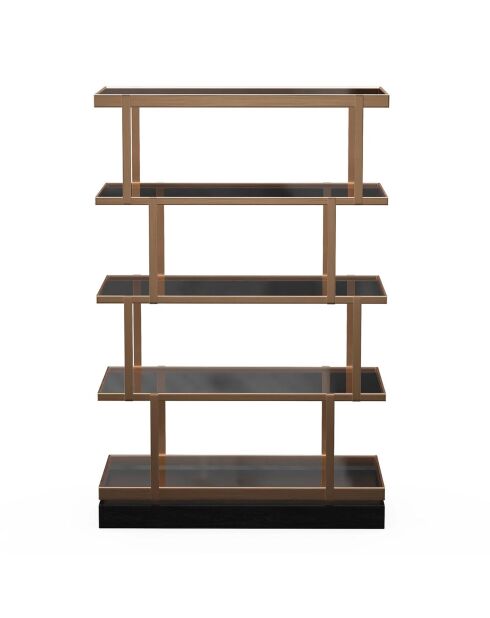 Etagère 5 niveaux Ivy verre fumé/bronze - 110x35x170.6 cm