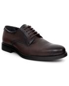 Derbies en Cuir Ilvano marron
