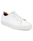 Sneakers en Cuir Terlon blanches