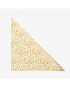 Echarpe Ais24Usca003 blé