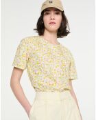 Chemise Ais24Wshi004 blé