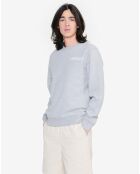 Sweat Ais24Mswe001 heather grey