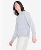 Sweat Ais24Mswe001 heather grey