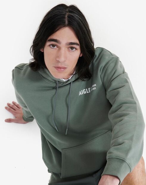 Sweat à capuche Ais24Mswe003 romarin