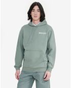 Sweat à capuche Ais24Mswe003 romarin