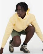 Sweat à capuche Ais24Mswe003 blé